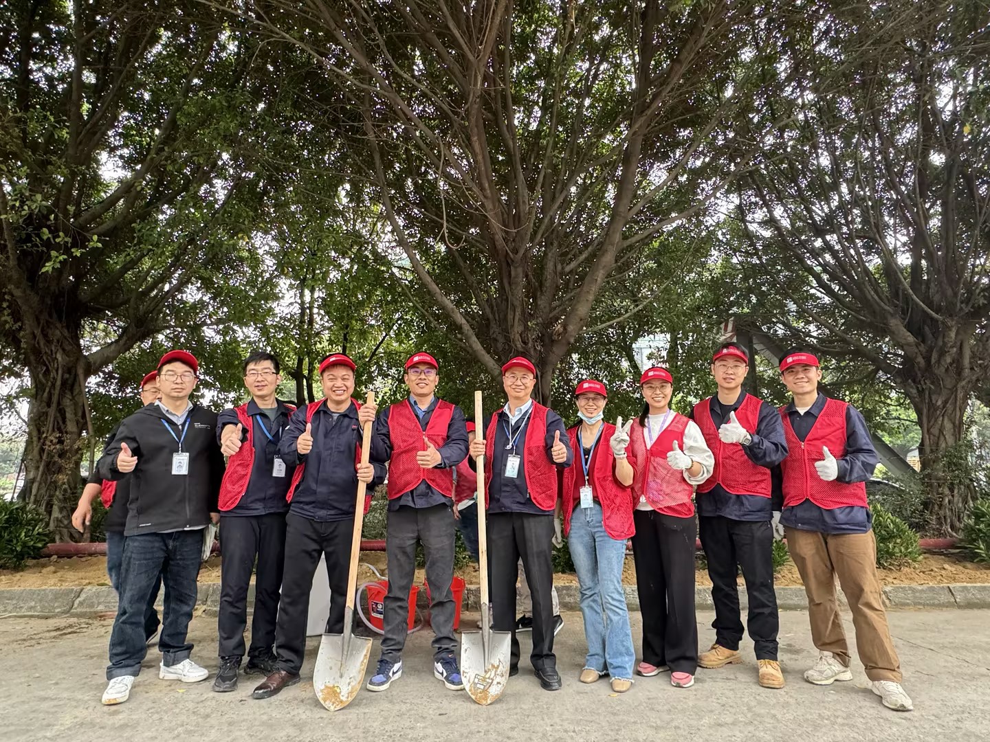 2024年taptap点点体育植一抹新绿 寄一份希望植树节